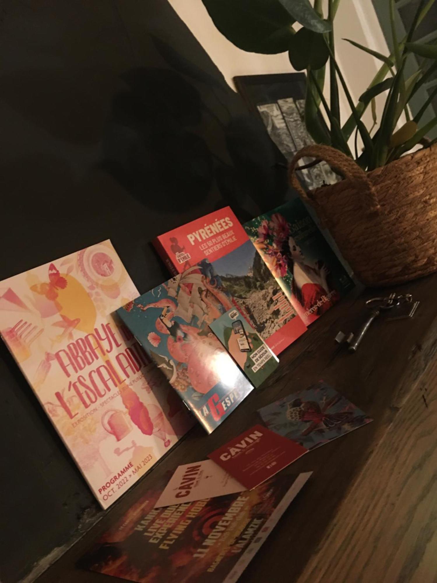 «Coeur De Vie » Logement Hyper Centre De Bagneres De Bigorre エクステリア 写真